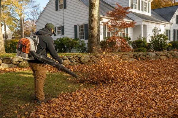 Fall Cleanup