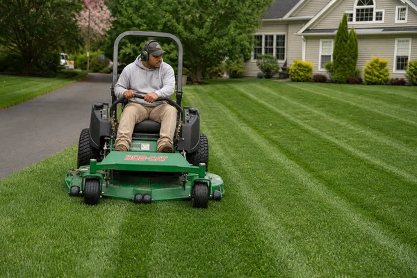 Lawn Mowing & Maintenance