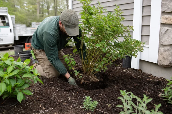 Planting & Bed Creation