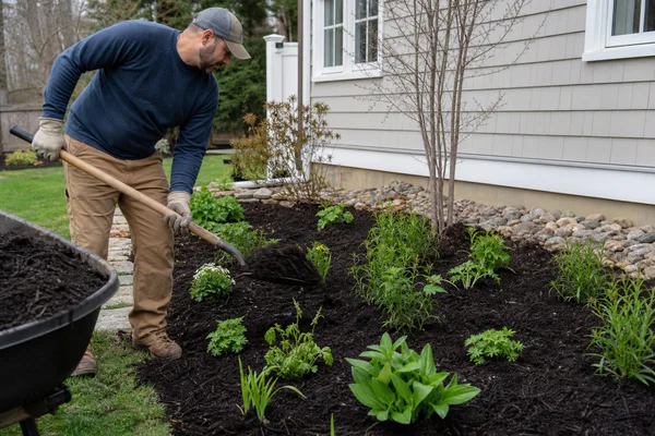 Mulching & Irrigation