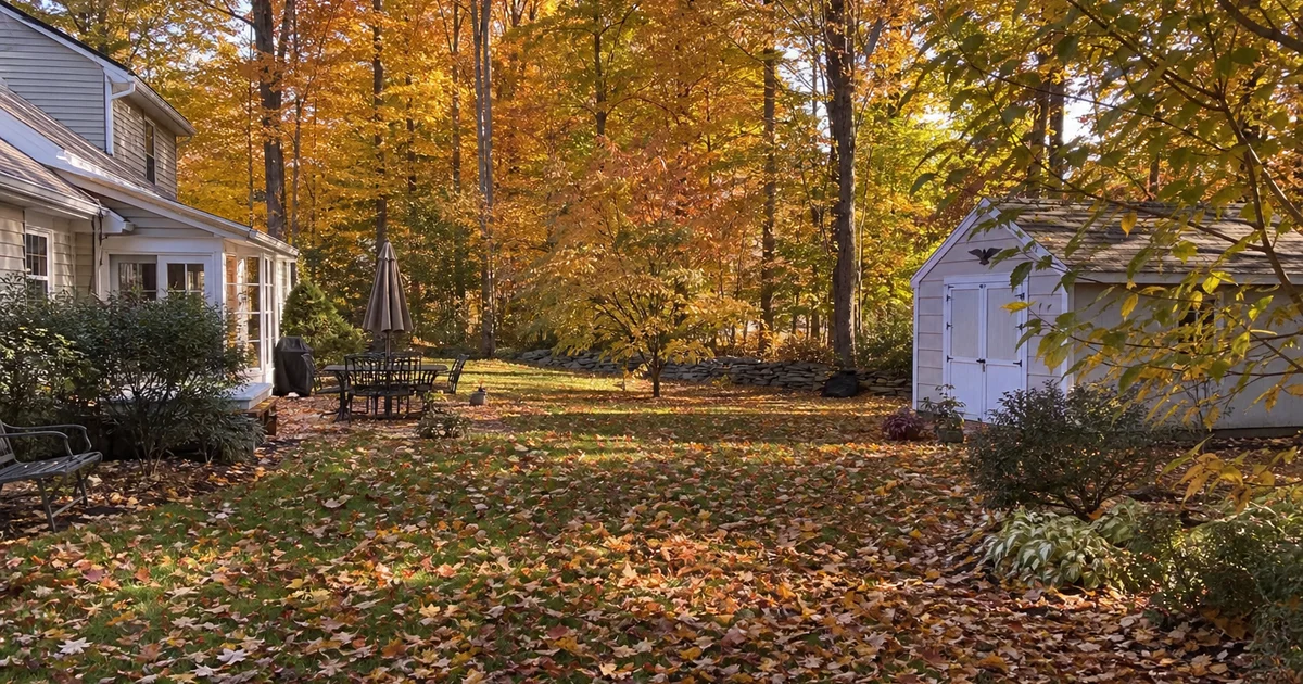 Connecticut yard mid-fall with leaves accumulated on lawn and beds, autumn light