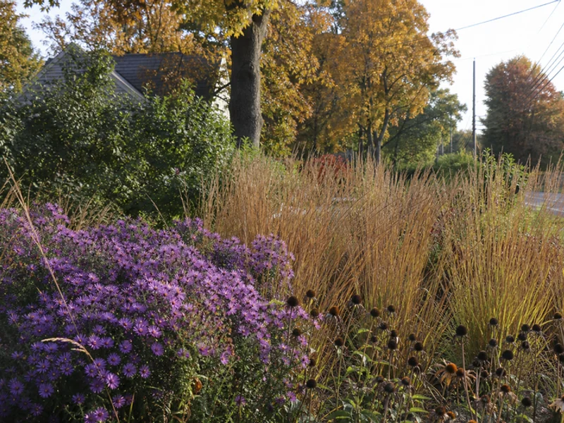 Zone 6b plant selection